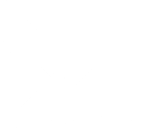 Avinem Investment Group